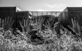 A Show Of Hands @ 72 ppi